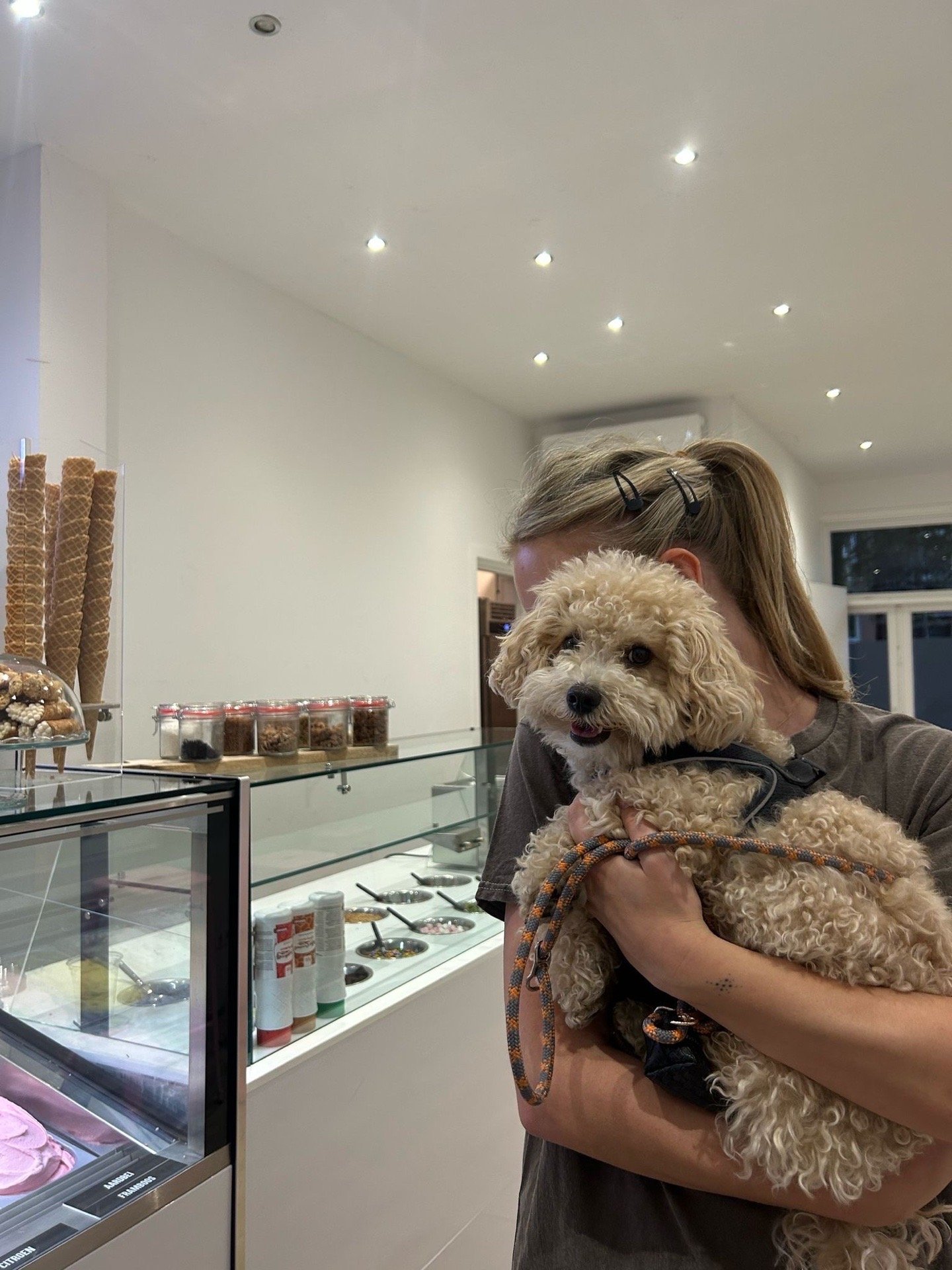 Naomi, pet sitter in Amsterdam, photo 1