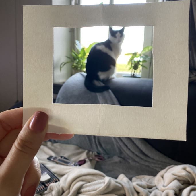 Lena, pet sitter in Rotterdam, photo 3