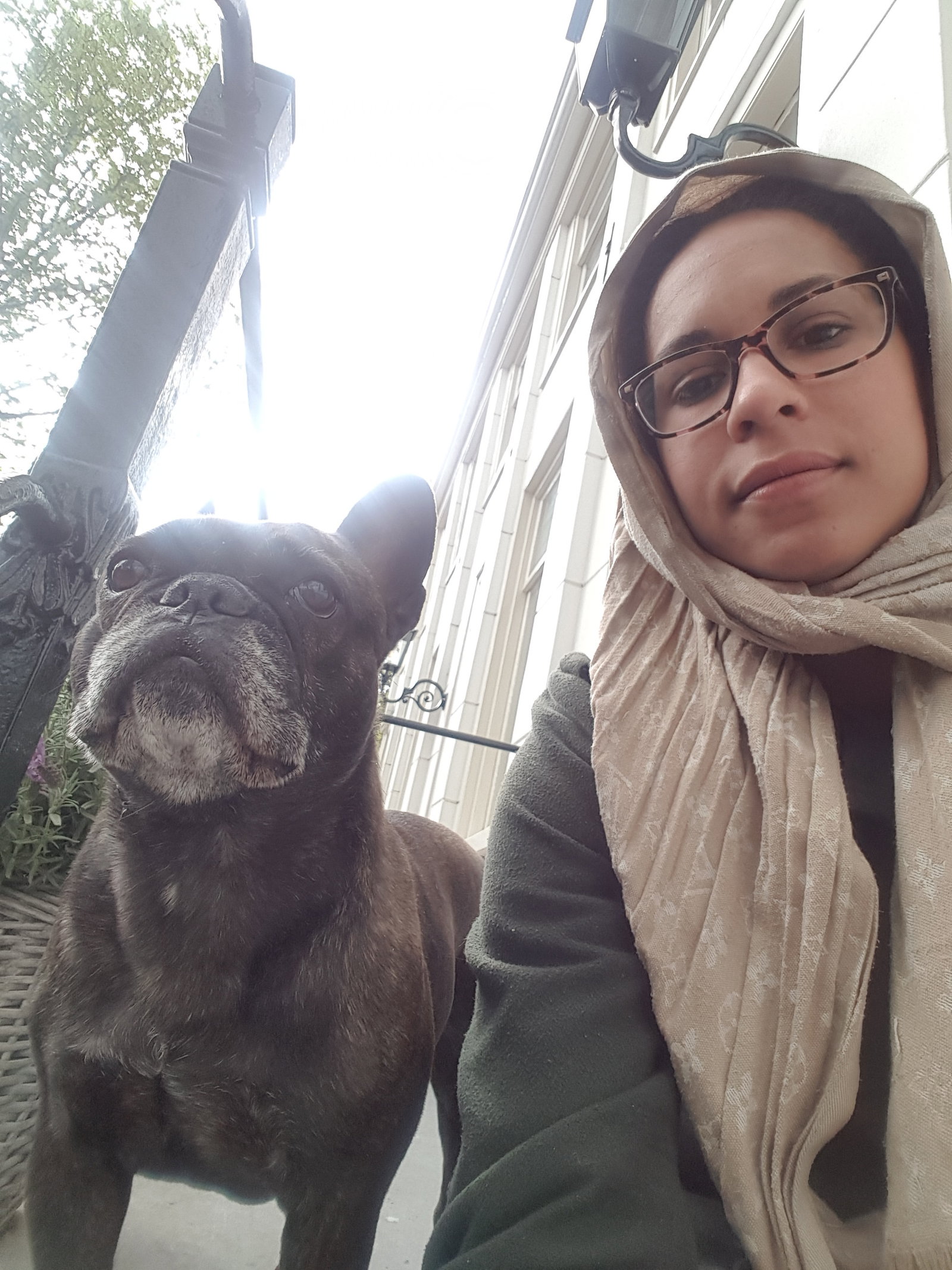 jennifer, pet sitter in Zaandam, photo 1
