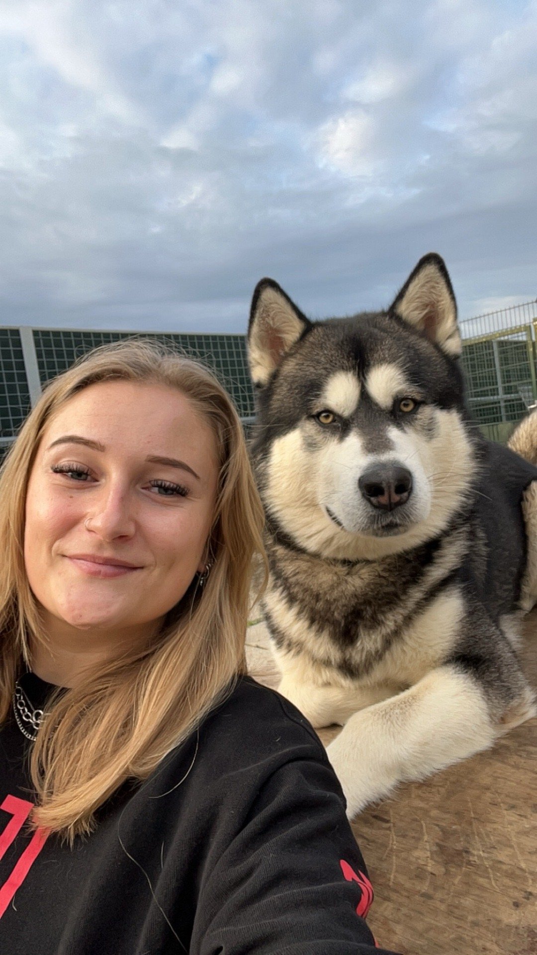 Anouschka, pet sitter in Culemborg, photo 5