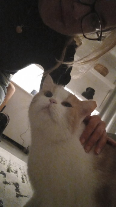Linda, pet sitter in Maastricht, photo 3