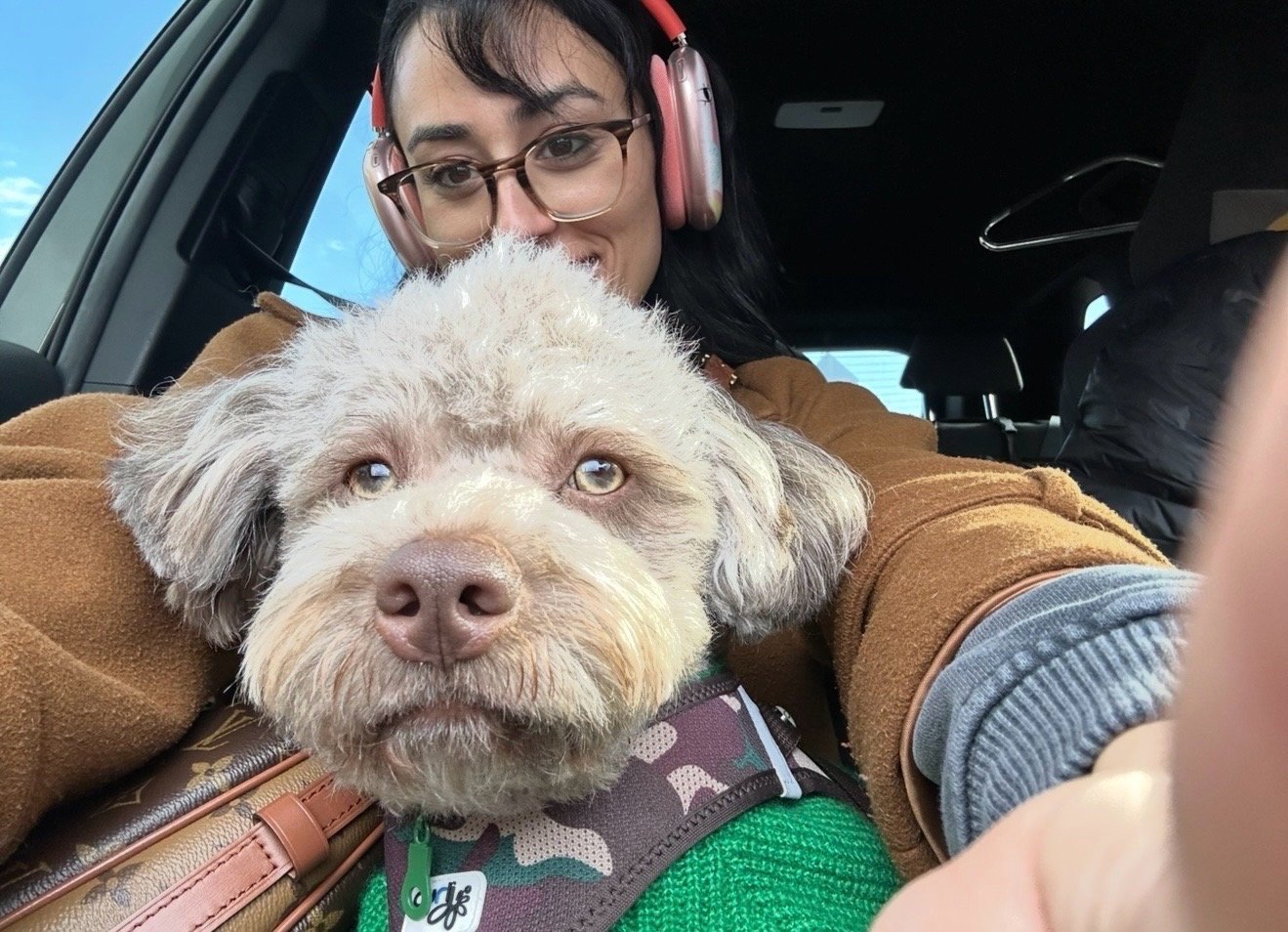 Merve, pet sitter in Haarlem, photo 1