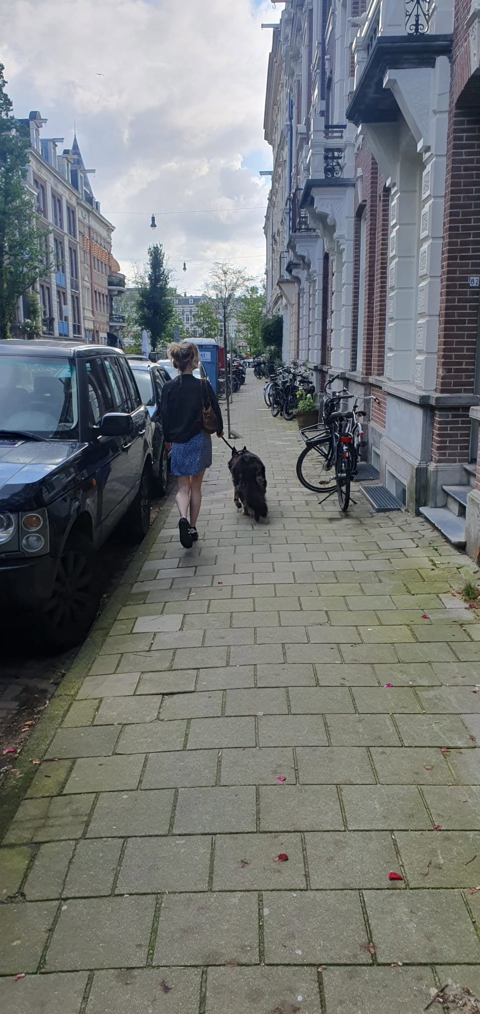 Pleuntje, pet sitter in Amsterdam, photo 2