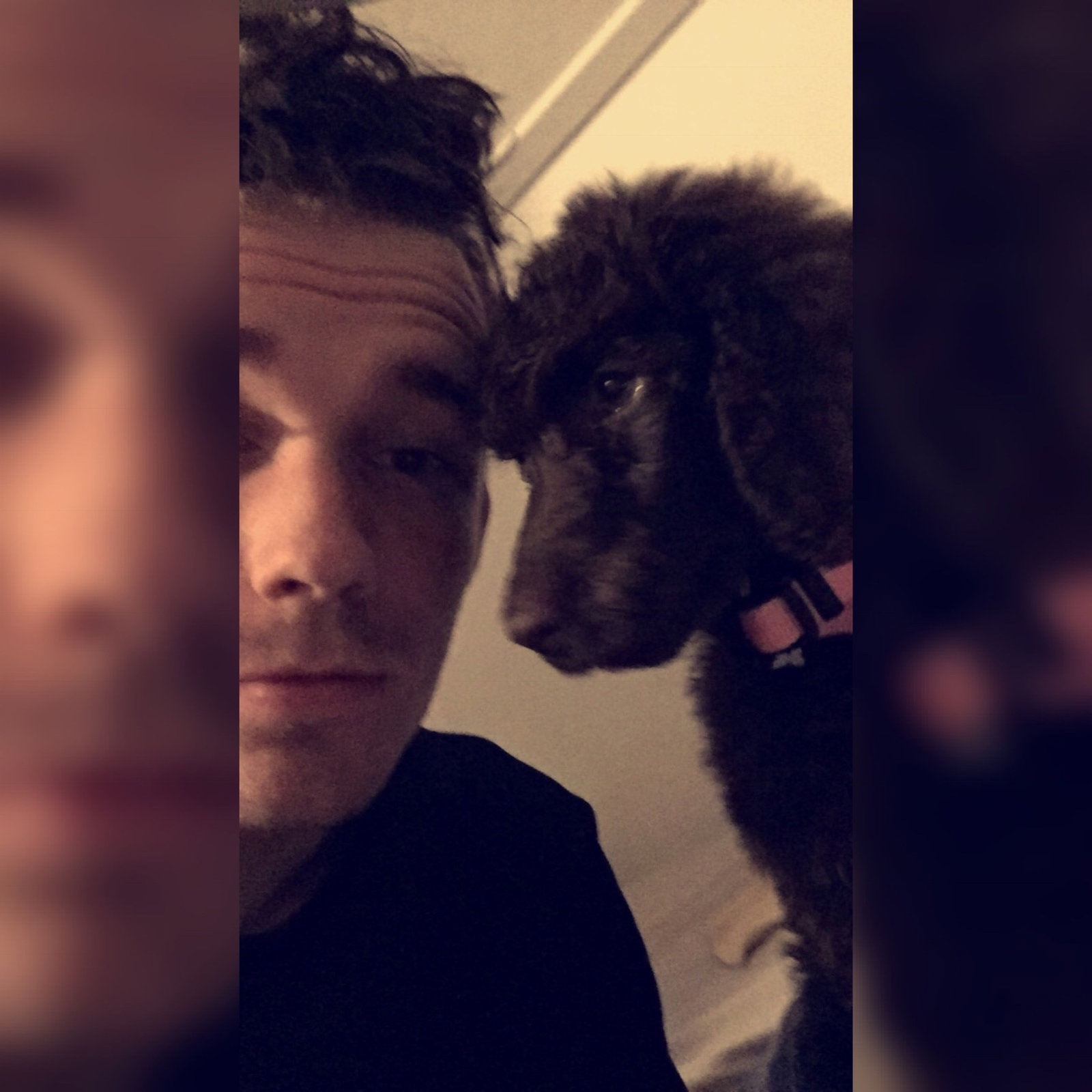 Martijn, pet sitter in Breda, photo 3