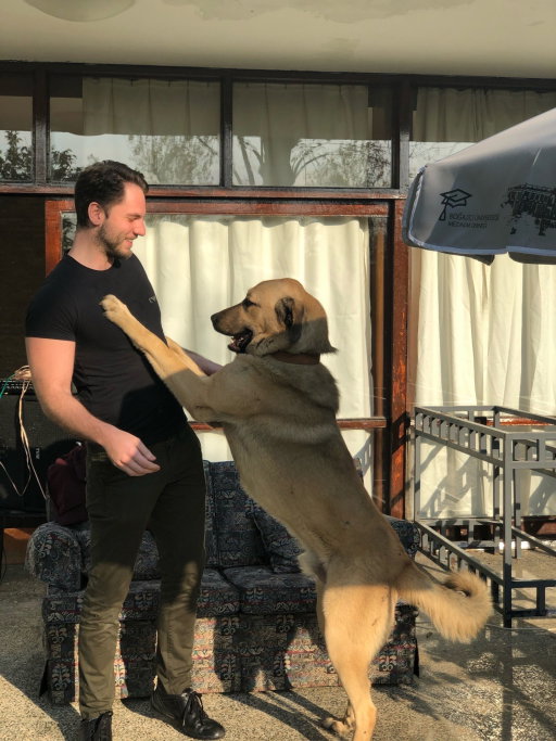 Omer, pet sitter in Voorburg, photo 3