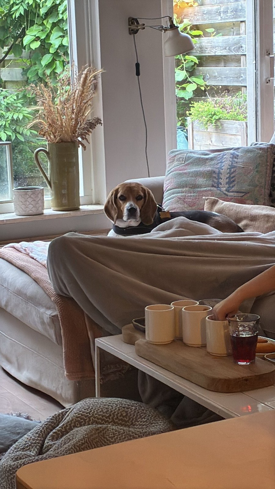 Lisa, pet sitter in Huissen, photo 3