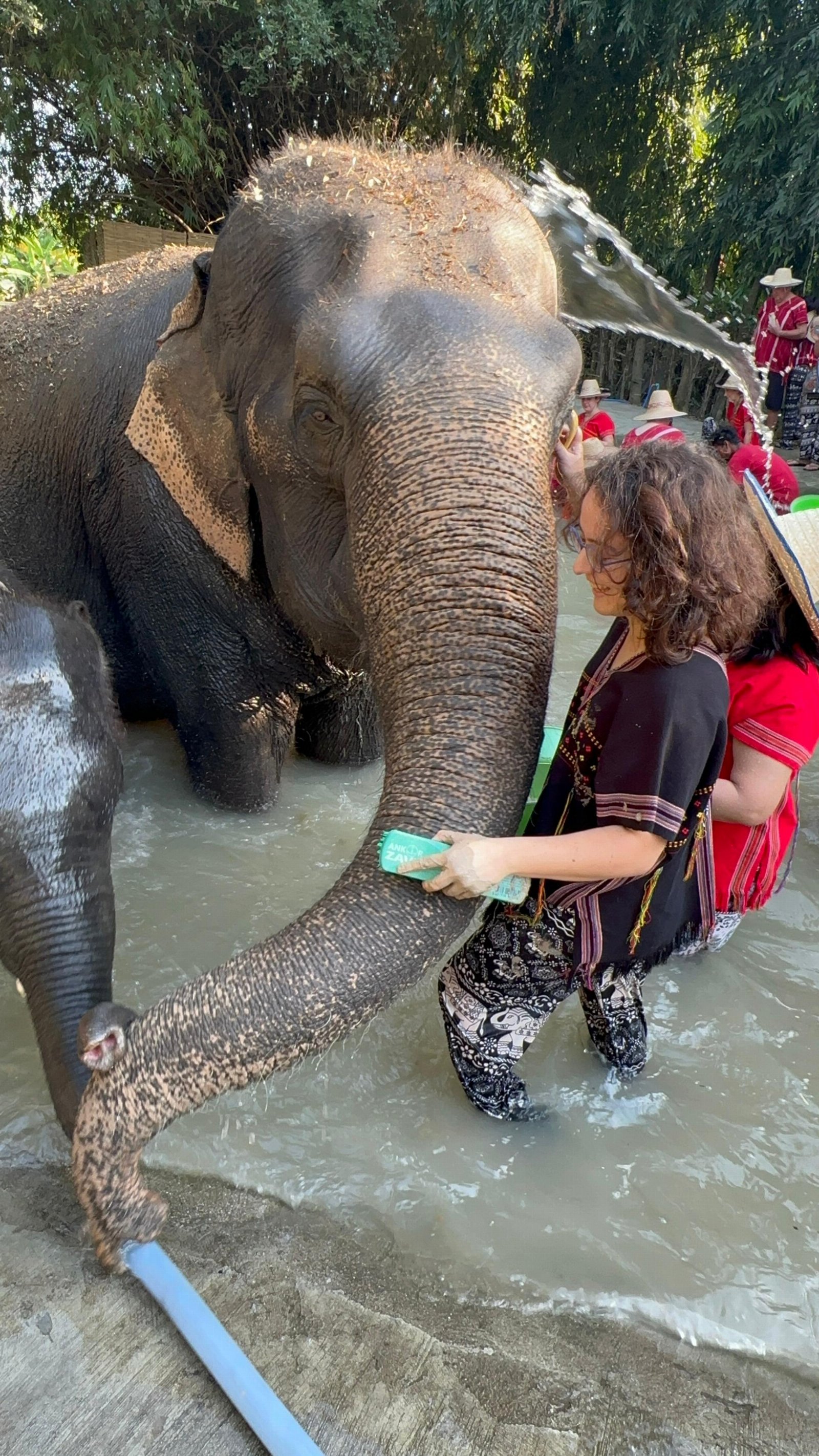Eylül, pet sitter in Amsterdam, photo 3