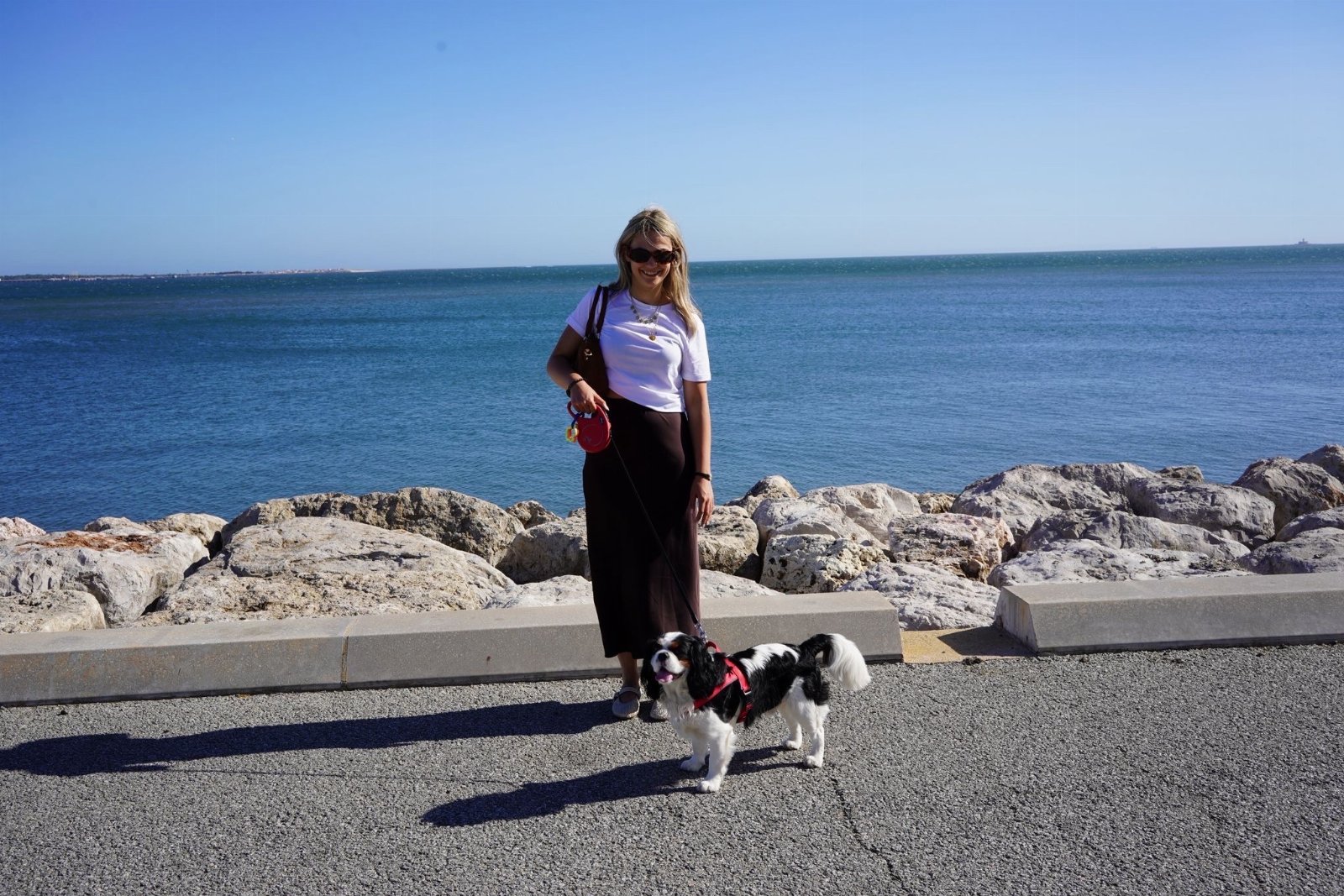 Maria Leonor, pet sitter in Eindhoven, photo 5