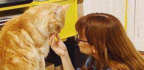 Giovanna, pet sitter in Amsterdam, photo 5
