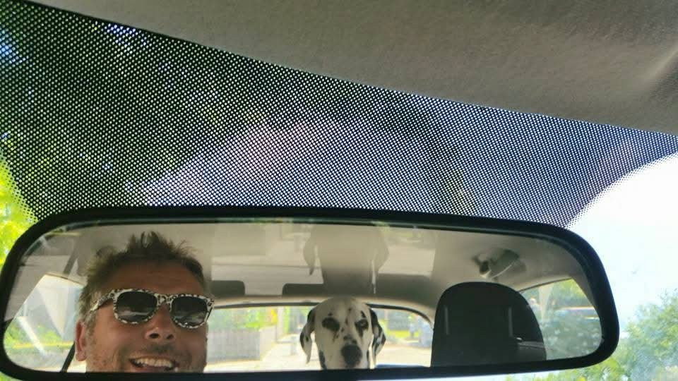 Rob, pet sitter in Veldhoven, photo 2