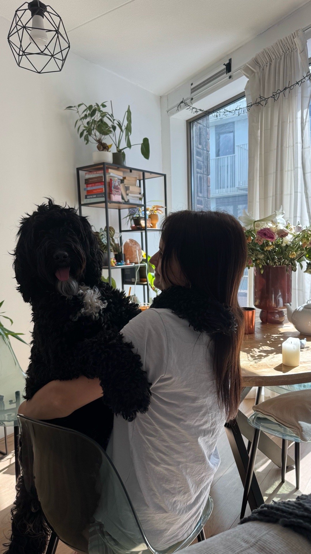 Olya, dierenoppas in Amsterdam, foto 5