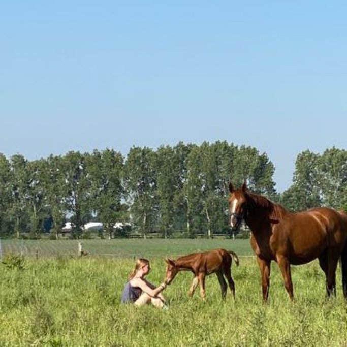 Eline, pet sitter in Nijmegen, photo 1