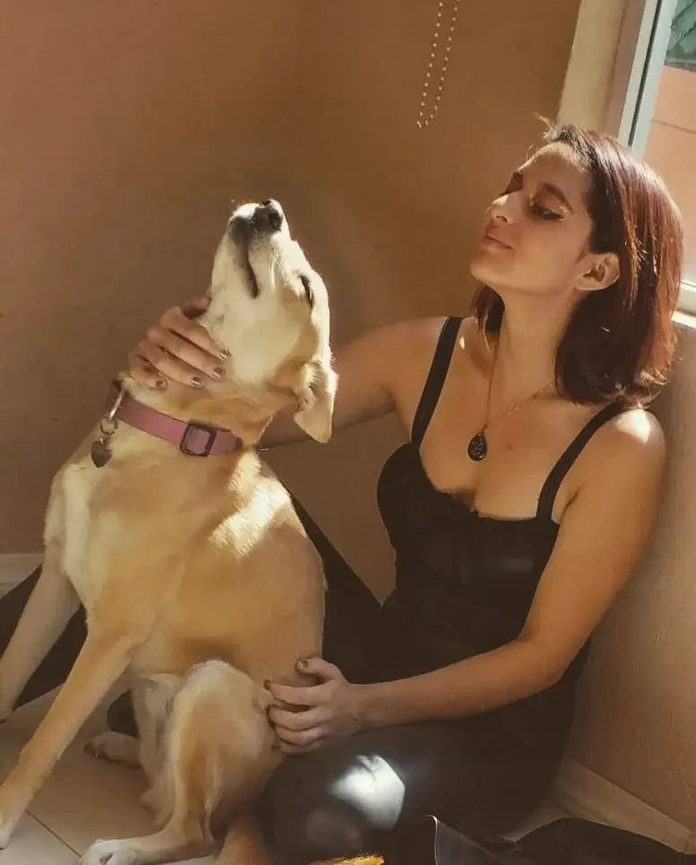 Aura, pet sitter in Amsterdam, photo 1