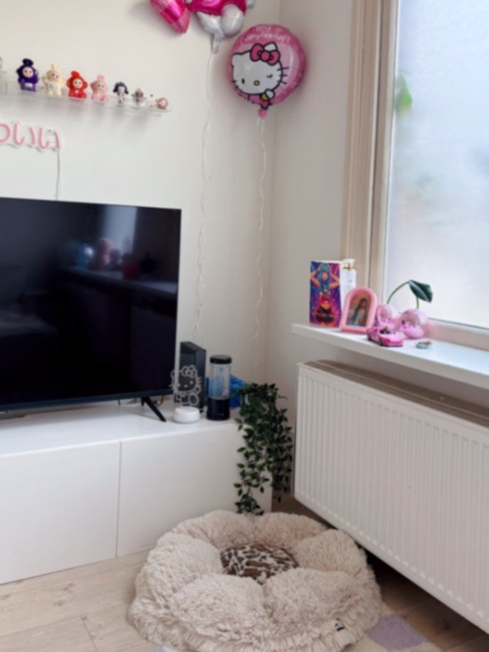 rabiye, pet sitter in Rotterdam, photo 4