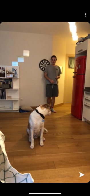 Cem, pet sitter in Amsterdam, photo 4