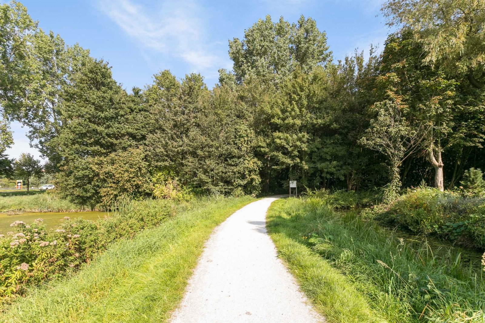 Moos, dierenoppas in Oegstgeest, foto 5