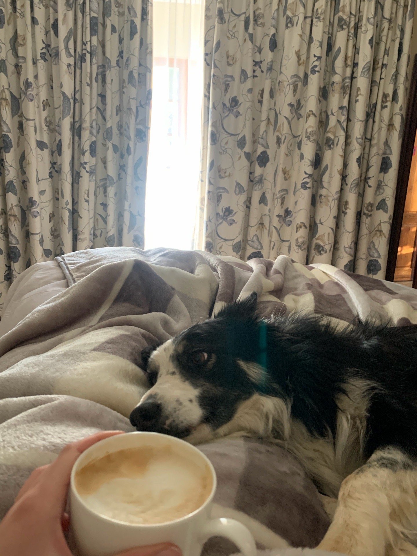 Nicola, pet sitter in Waalre, photo 1