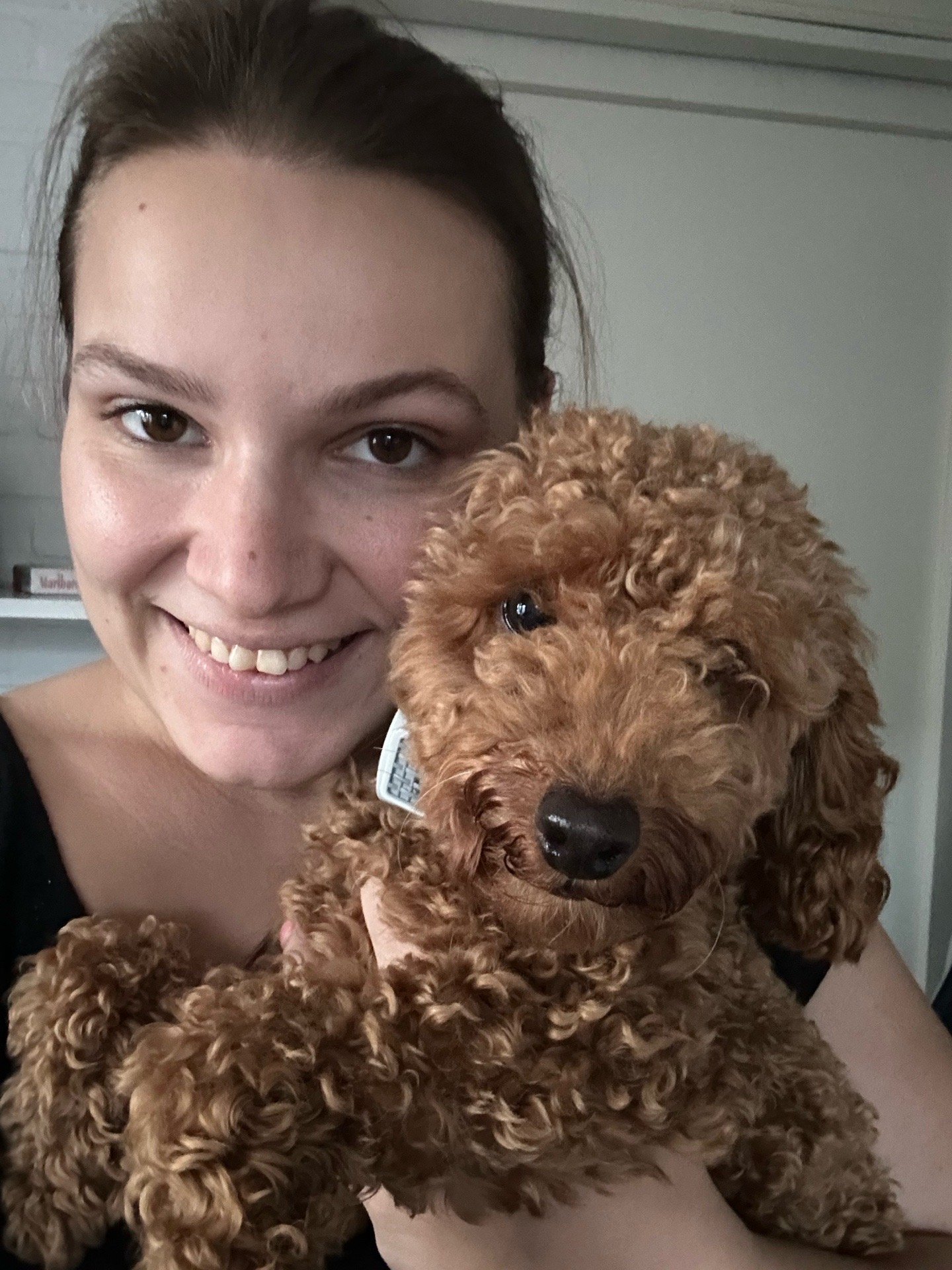 Mimi, pet sitter in Tholen, photo 4