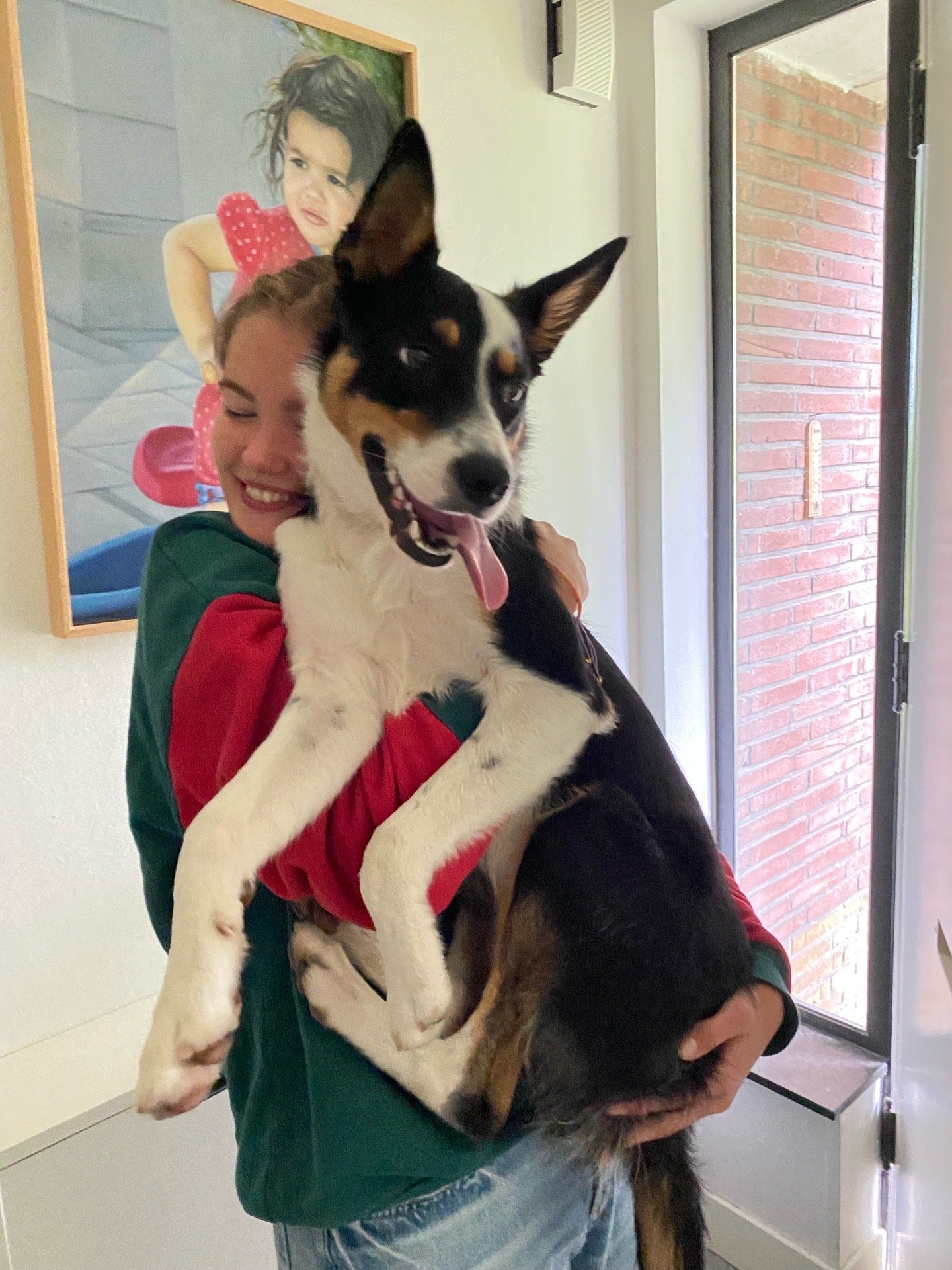 Isabelle, pet sitter in Utrecht, photo 1