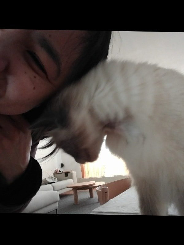 Mariposa, pet sitter in Amsterdam, photo 2