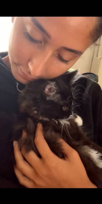 Sofia, pet sitter in Amsterdam, photo 5