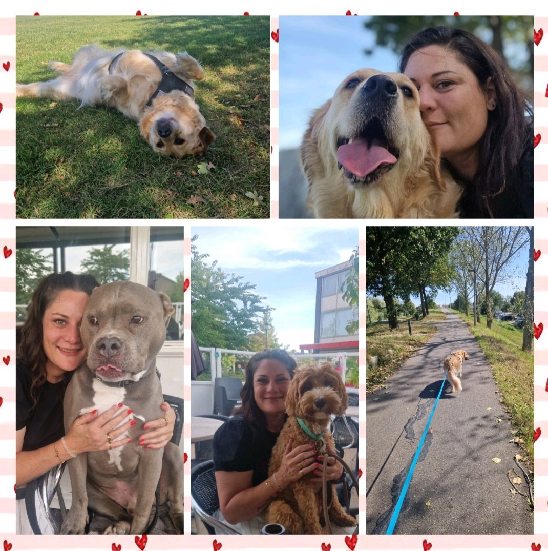 Susanne, pet sitter in Spijkenisse, photo 1