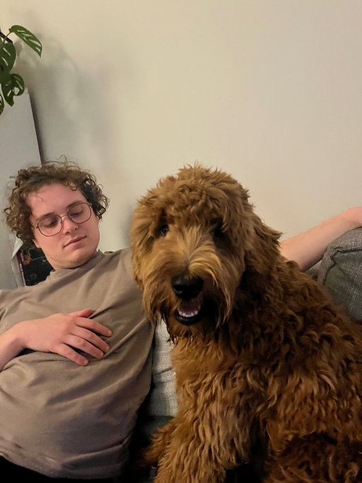 Lysanne en Bram, pet sitter in Nijmegen, photo 3