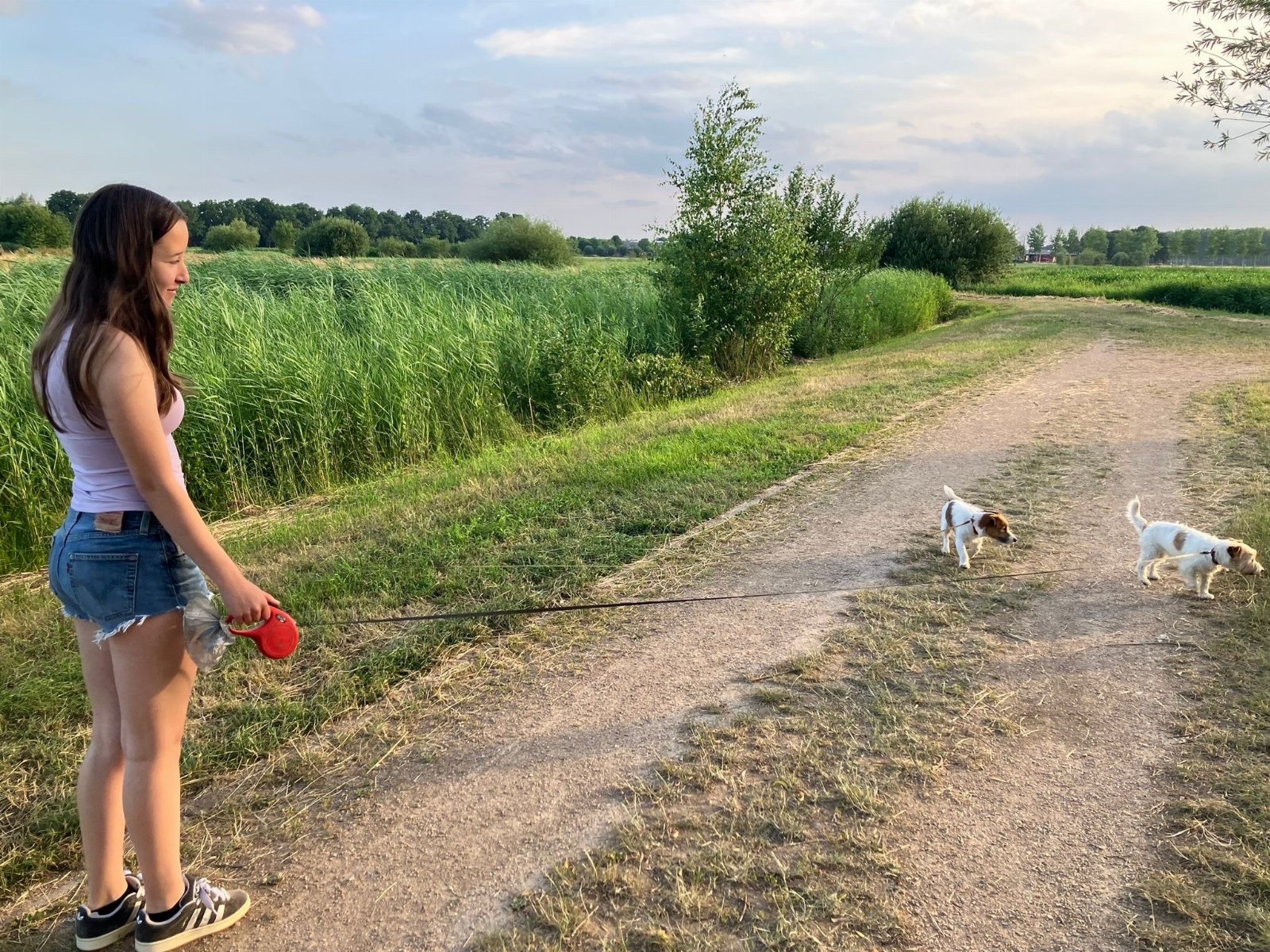 Arjen, dierenoppas in Beek en Donk, foto 4