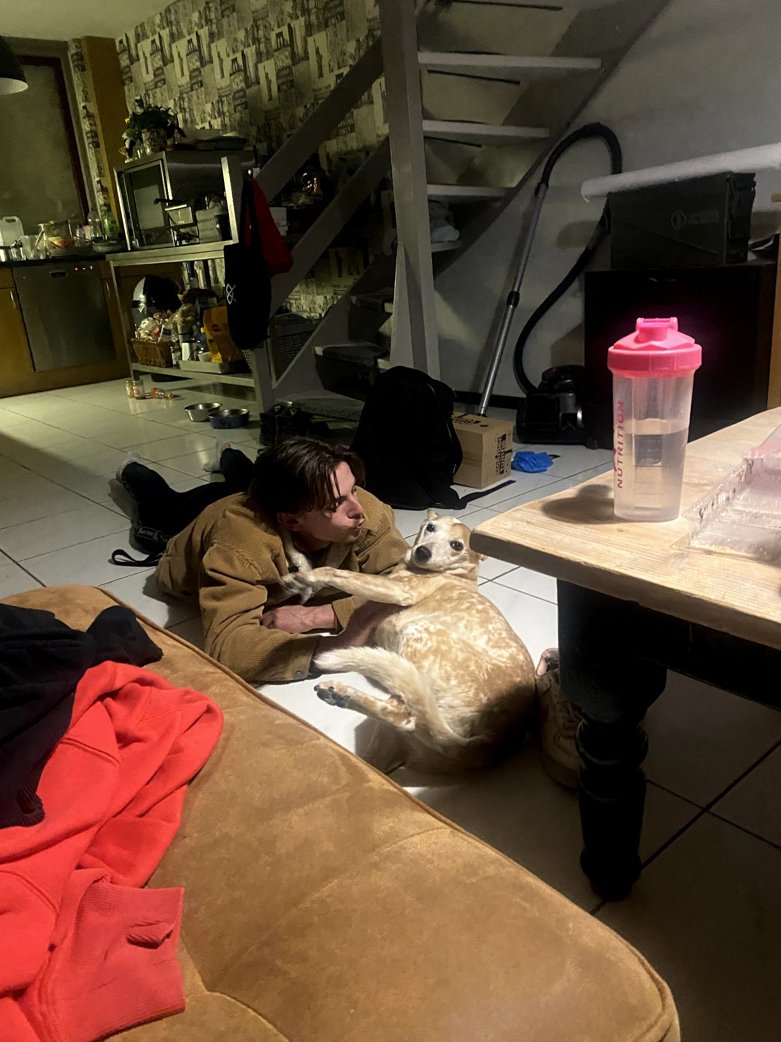 Kirsten, pet sitter in Amsterdam, photo 5