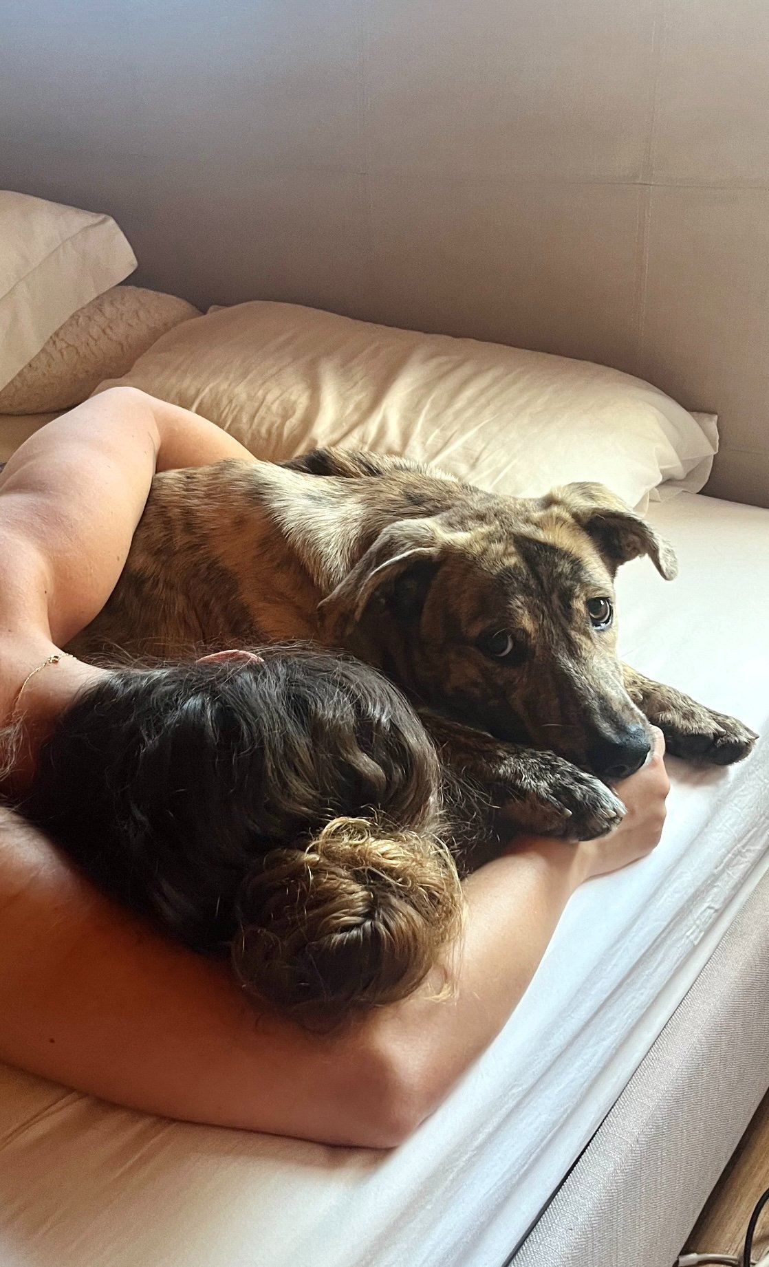 Matilde, pet sitter in Amsterdam, photo 5