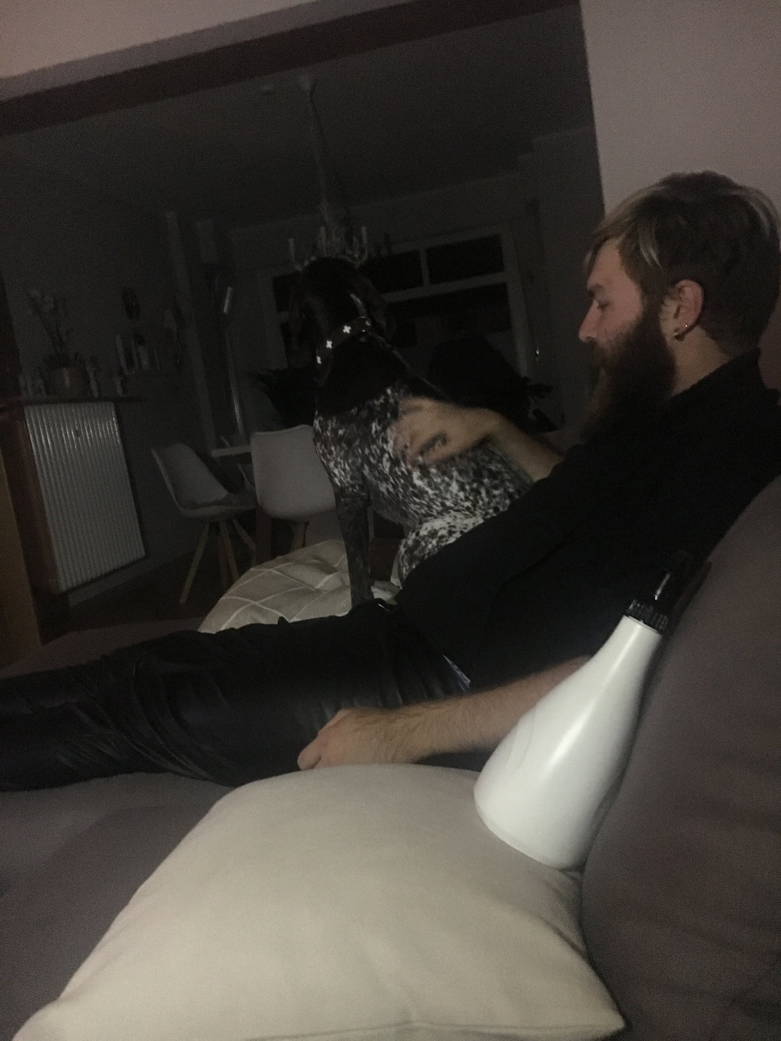 Richard, Tiersitter in Ingelheim am Rhein, Foto 1