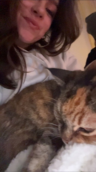 Luna, pet sitter in Apeldoorn, photo 1