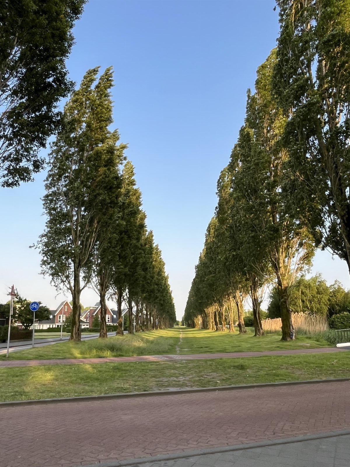 Ola, dierenoppas in Utrecht, foto 4