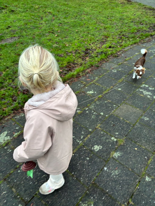 Kelly, pet sitter in Kortenhoef, photo 5