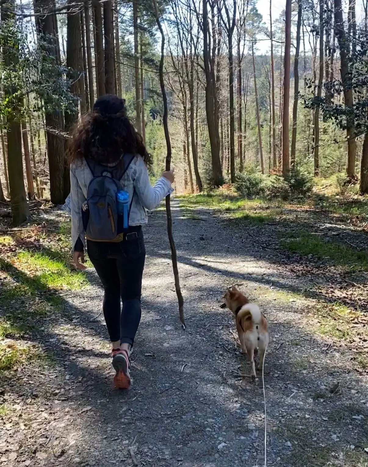 Melanie, Tiersitter in Köln, Foto 3