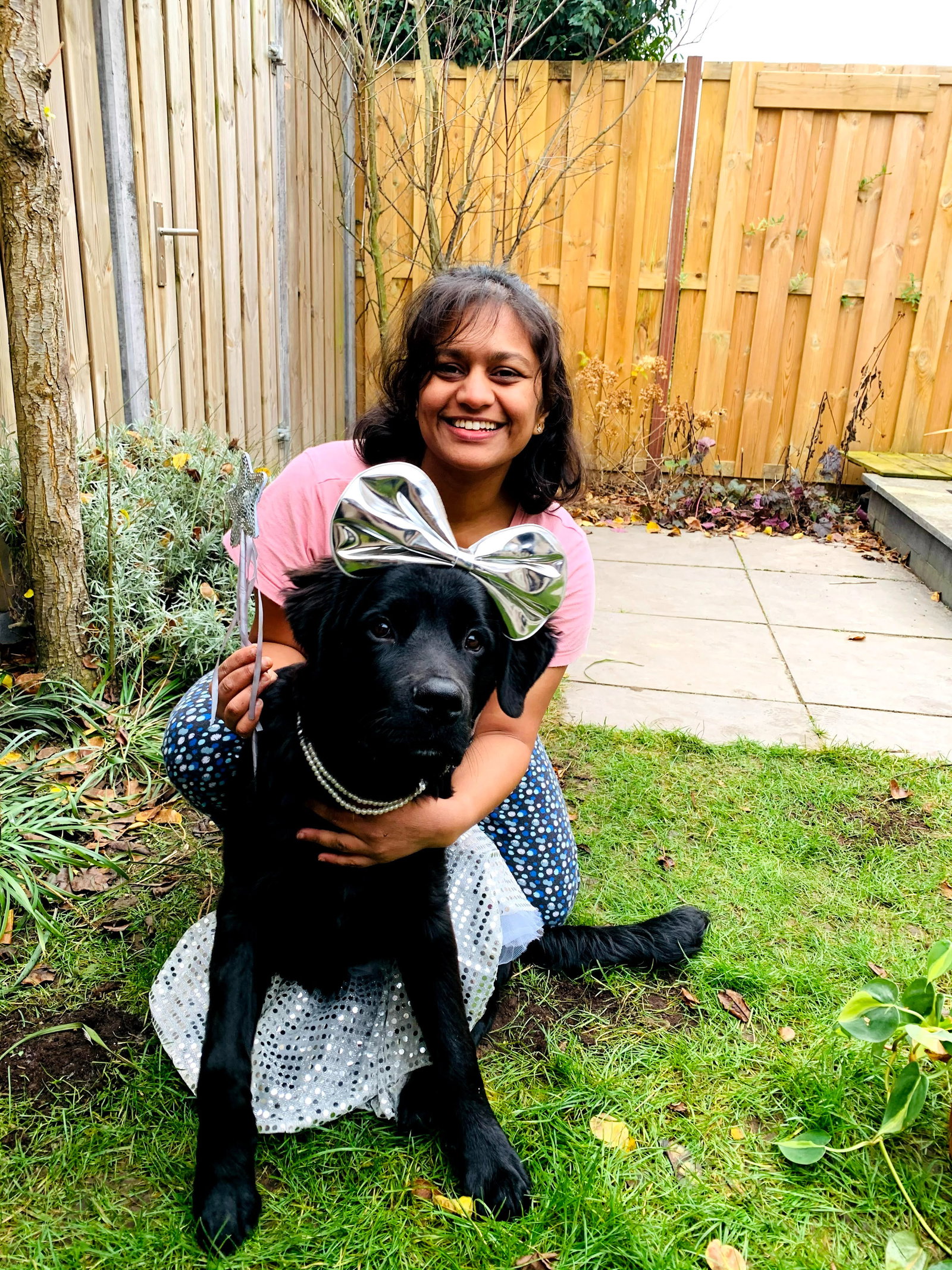 vandana, dierenoppas in Eindhoven, foto 2