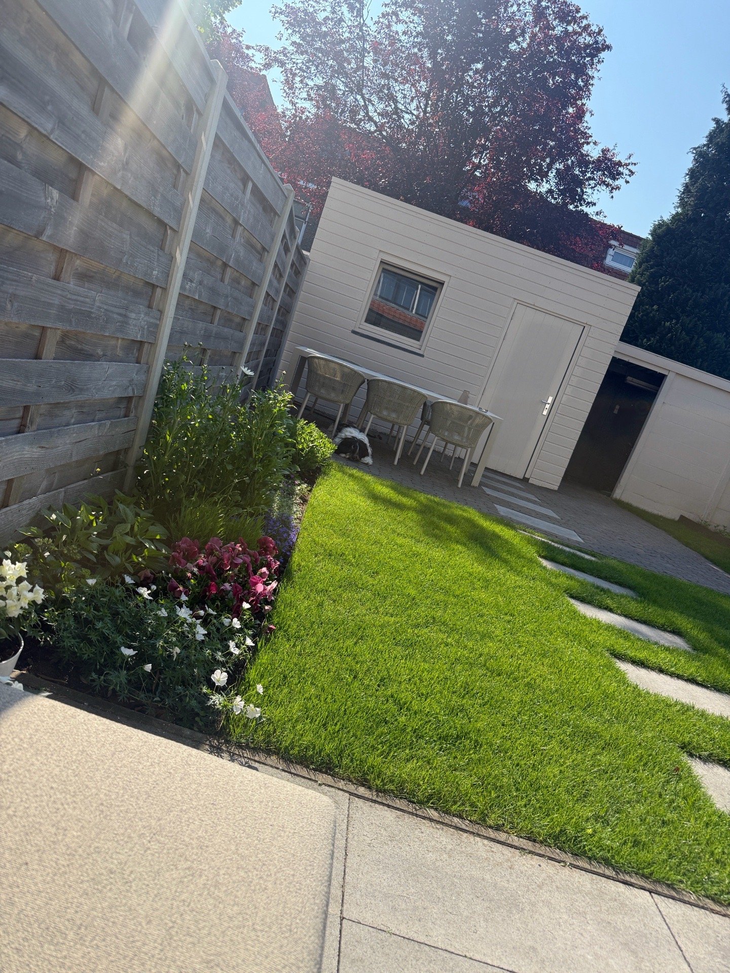 Jesper, pet sitter in Breda, photo 3