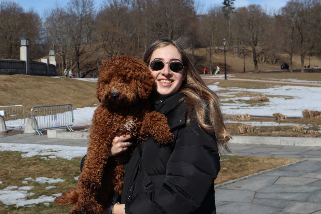 Romy, pet sitter in Krimpen aan den IJssel, photo 4
