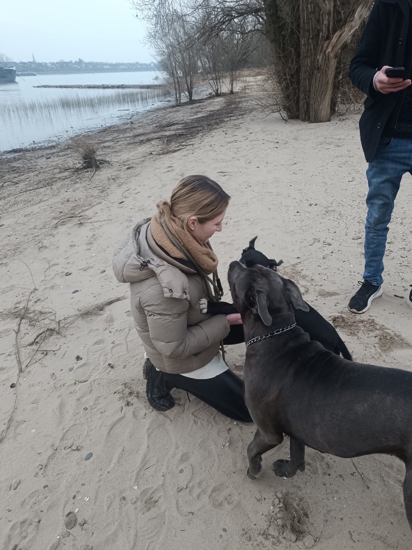 Lina, Tiersitter in Wesseling, Foto 1