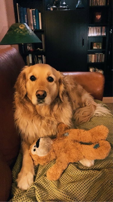 valeria, pet sitter in Amsterdam, photo 2