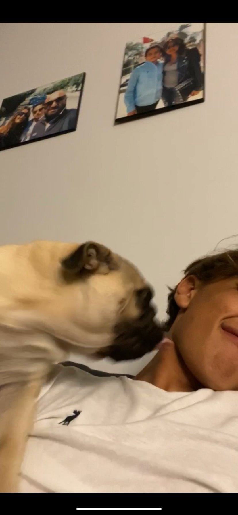 Basel, pet sitter in Rotterdam, photo 5