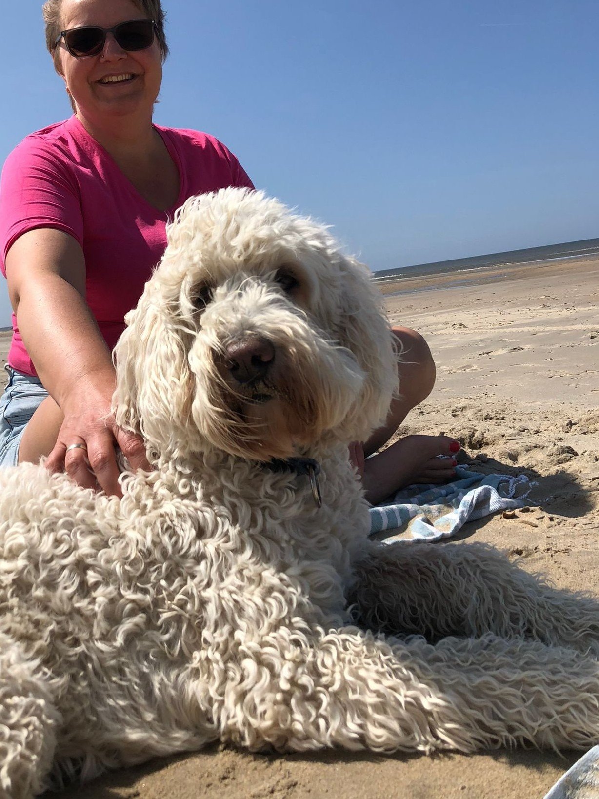 Mir, pet sitter in Vijfhuizen, photo 3