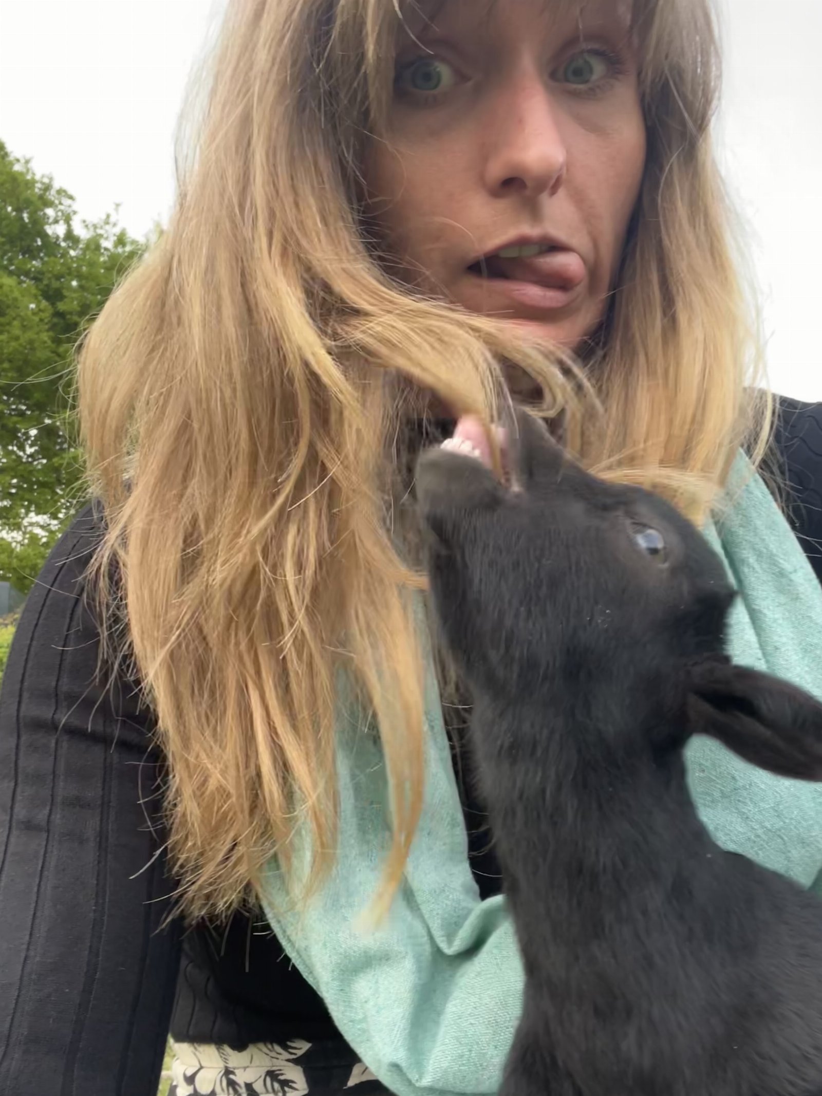 Linda, pet sitter in Utrecht, photo 1