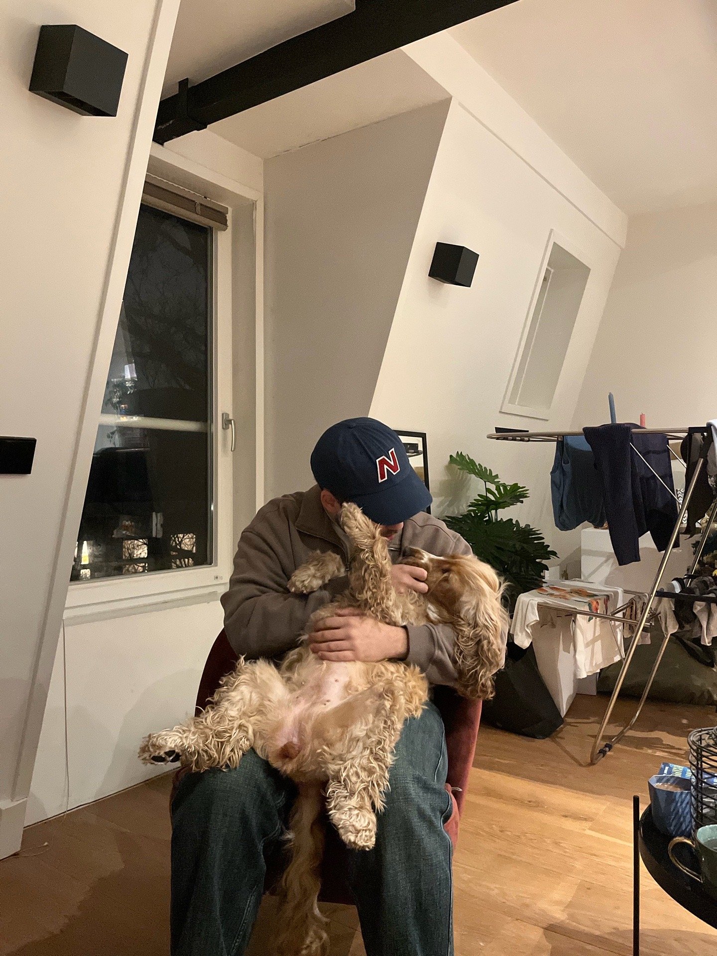 Eren, pet sitter in Amsterdam, photo 5