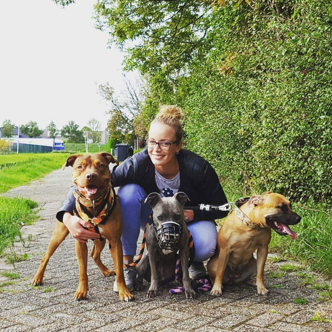 Annemieke, pet sitter in Voorburg, photo 5