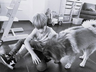 Linda, pet sitter in Eindhoven, photo 3