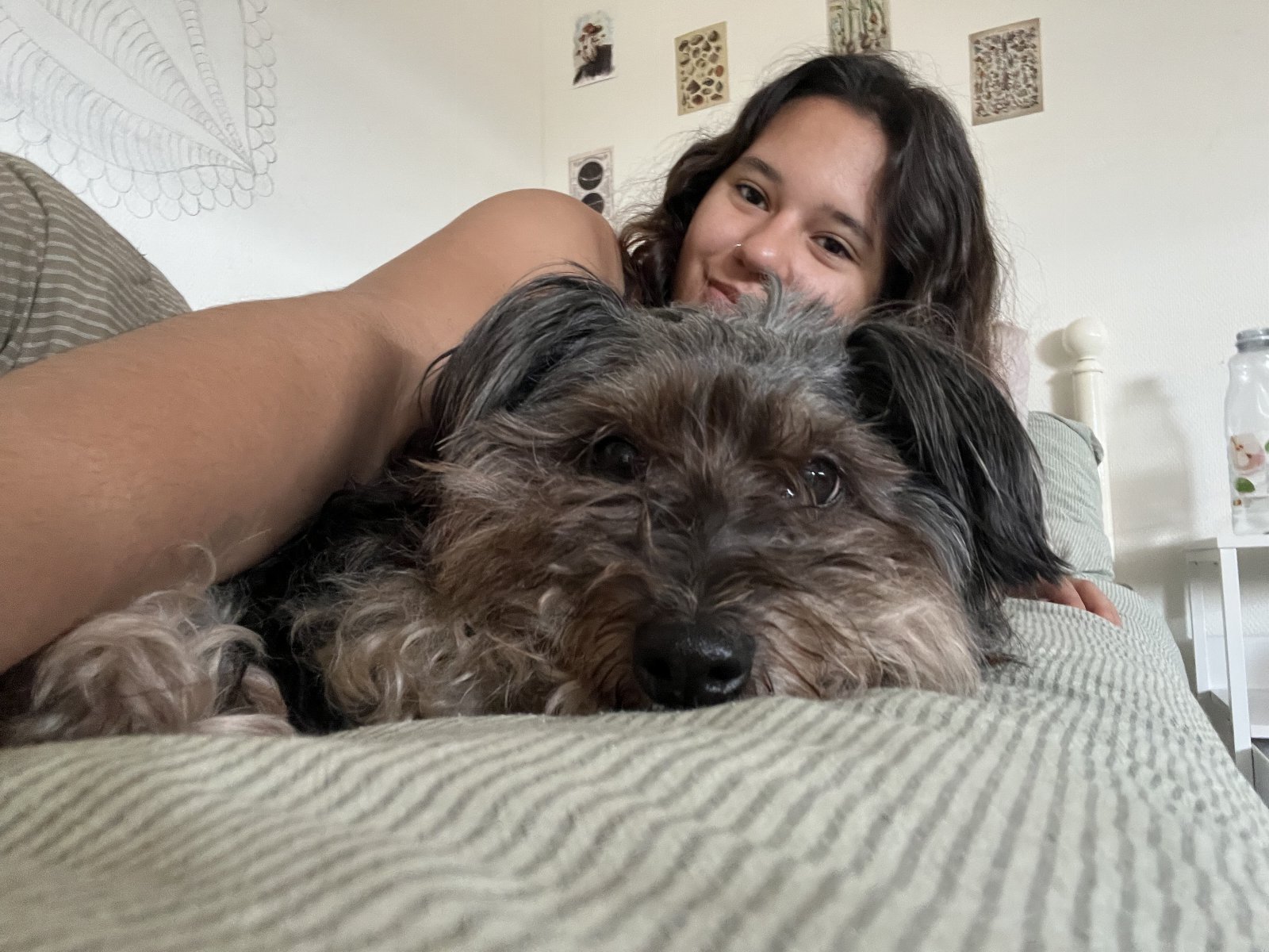 Sheila, pet sitter in Arnhem, photo 1