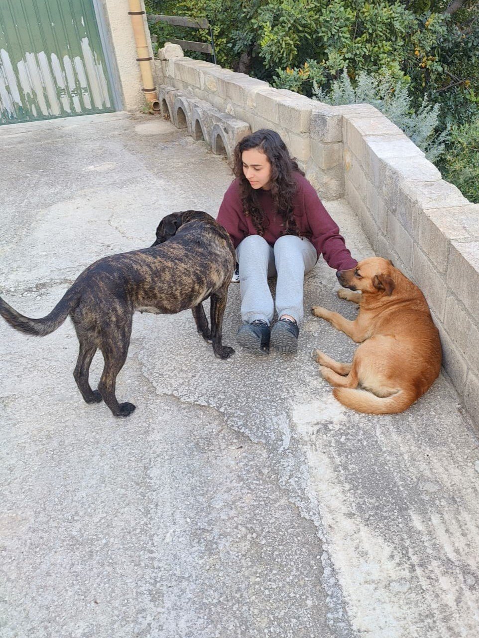 Linda, pet sitter in Delft, photo 3