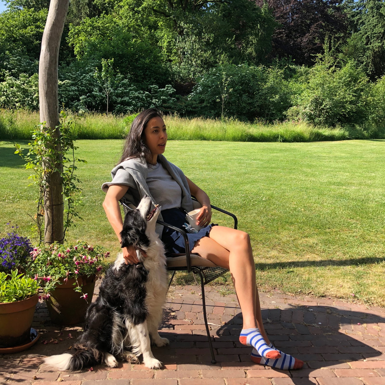 Shucria, pet sitter in Amsterdam, photo 3
