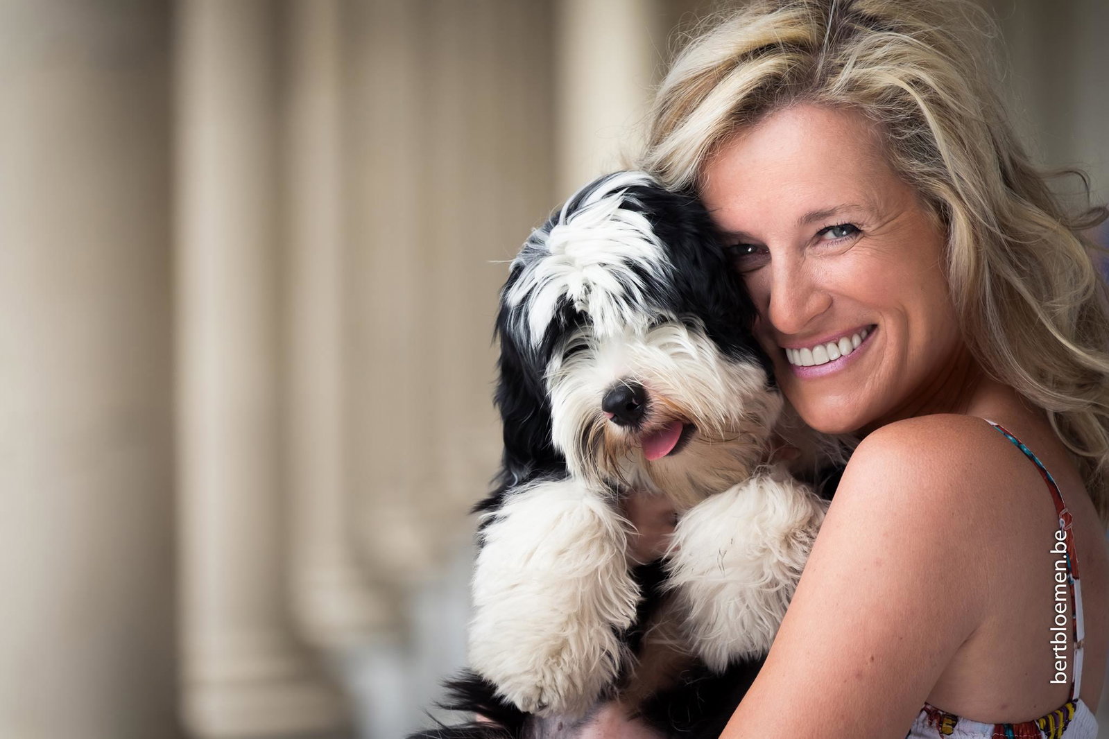 Sylviane, pet sitter in Varsenare, photo 3